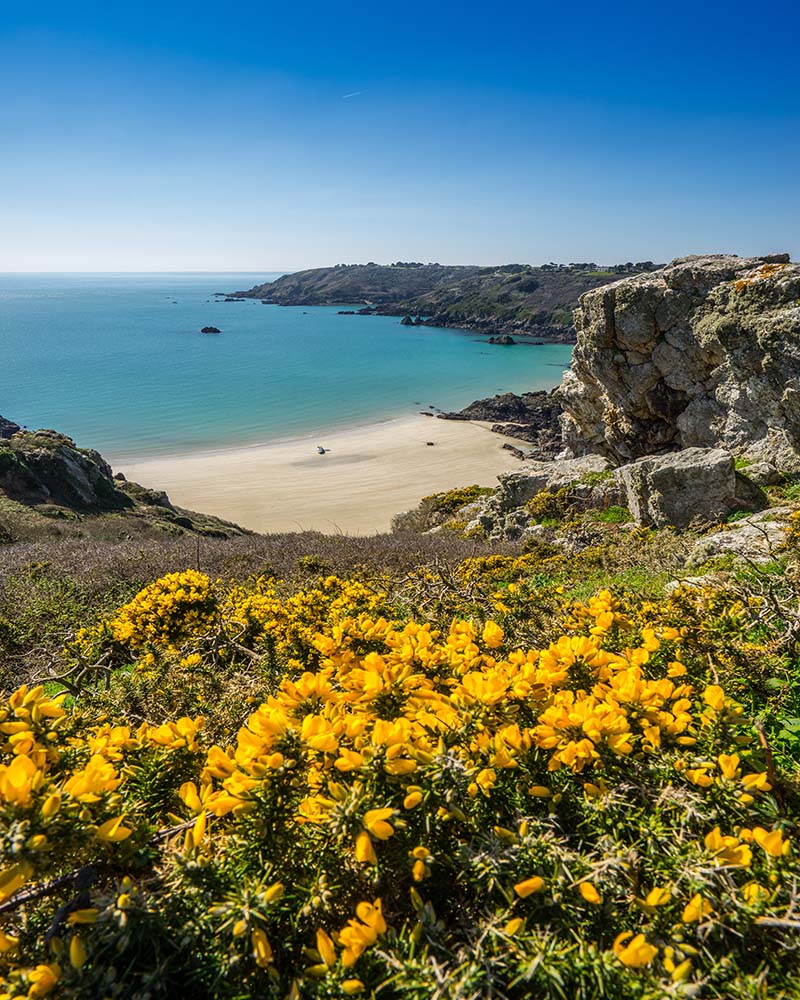 Guernsey